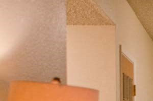 unremodeled 2x1 dining room